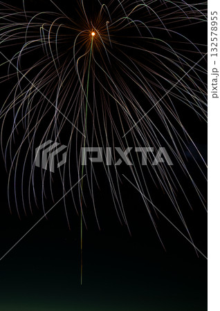 夜空に咲くしだれ柳の繊細な花火 132578955