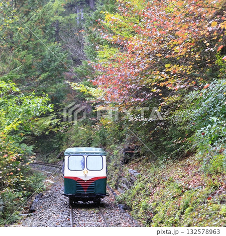 紅葉の赤沢森林鉄道 紅葉の赤沢森林鉄道 132578963