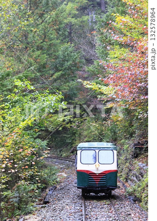 紅葉の赤沢森林鉄道 132578964