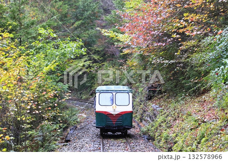 紅葉の赤沢森林鉄道 紅葉の赤沢森林鉄道 132578966