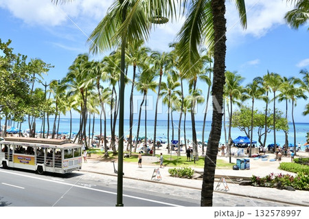 ホワイのヤシの木が並ぶビーチ 132578997