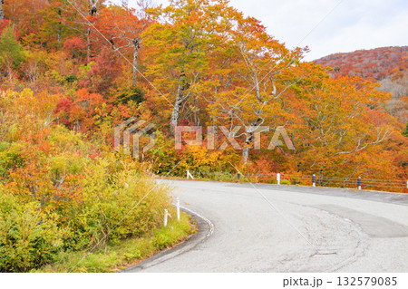 西吾妻スカイバレーの紅葉 132579085