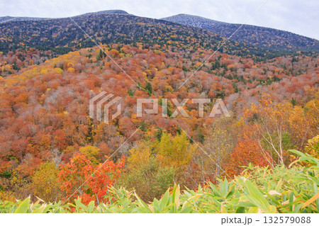 西吾妻スカイバレーの紅葉 西吾妻スカイバレーの紅葉 132579088