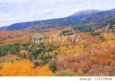 西吾妻スカイバレーの紅葉 西吾妻スカイバレーの紅葉 132579090