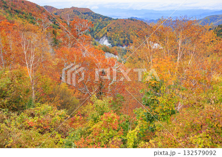 西吾妻スカイバレーの紅葉 西吾妻スカイバレーの紅葉 132579092