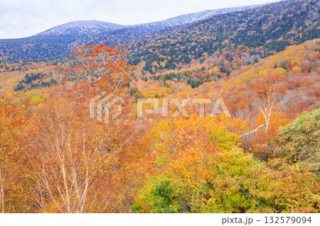 西吾妻スカイバレーの紅葉 132579094