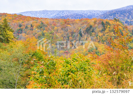西吾妻スカイバレーの紅葉 132579097
