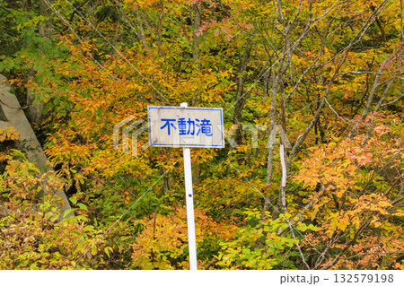 西吾妻スカイバレー芳沢不動滝の紅葉 132579198