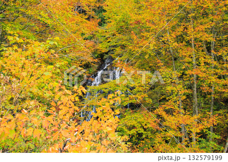 西吾妻スカイバレー芳沢不動滝の紅葉 西吾妻スカイバレー芳沢不動滝の紅葉 132579199