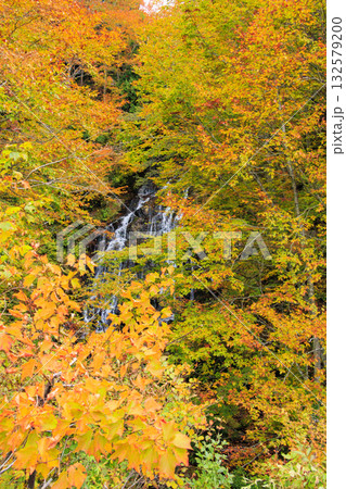 西吾妻スカイバレー芳沢不動滝の紅葉 西吾妻スカイバレー芳沢不動滝の紅葉 132579200