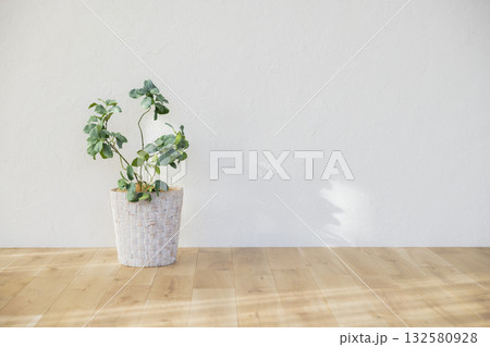 白い壁とフローリングの床 白い壁とフローリングの床 132580928