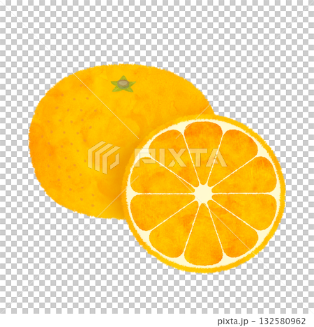 Cross-section illustration of a mandarin orange, watercolor style 132580962
