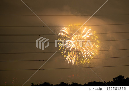 日本の東京都市景観 東京都庁や多摩川花火大会2025。第47回世田谷区たまがわ花火大会の会場側 日本の東京都市景観 東京都庁や多摩川花火大会2025。第47回世田谷区たまがわ花火大会の会場側 132581236