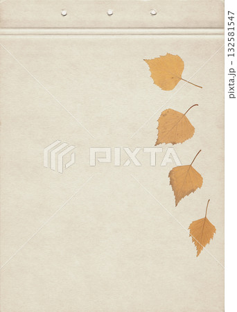 Dried birch leaves flat lay on aged paper sheet, pressed autumn herbarium foliage for botanical collection, eco friendly decoration, rustic craft project, natural background and organic design 132581547