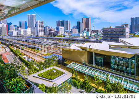 日本の東京都市景観新幹線や山手線（内外）、芝浦アイランドケープタワーなどタワーマンション群を望む 132581708
