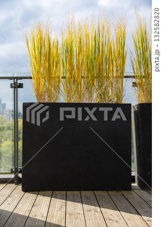 Autumn ornamental grass in modern black planter on terrace Autumn ornamental grass in modern black planter on terrace 132582820