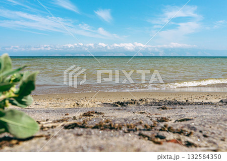 Summer coastal landscape, sand sea shore. Summer coastal landscape, sand sea shore. 132584350
