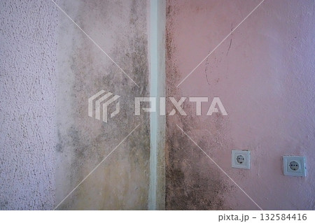 Mold and mildew spreading in the corner of a wall near an electrical socket. Highlights moisture damage, damp interior, and unhealthy home conditions. 132584416