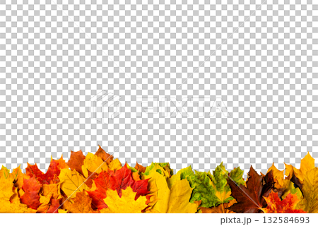 Colorful autumn leaves on a transparent background forming a natural border. Ideal for digital collages and seasonal artwork. 132584693