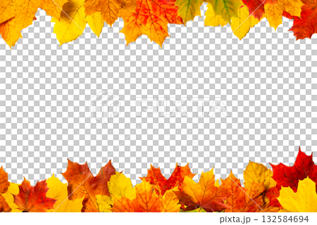 Transparent PNG showing autumn maple leaves at the top border with space for text. Suitable for banners, ads, and seasonal graphics. Transparent PNG showing autumn maple leaves at the top border with space for text. Suitable for banners, ads, and seasonal graphics. 132584694