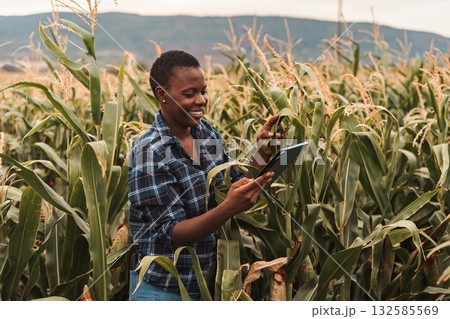 African american female farmer using digital tablet in corn field 132585569