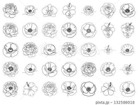 Comprehensive grid of continuous line vector flower designs showcasing detailed poppies, beautiful peonies, vibrant hibiscus, and classic roses, with some featuring integrated human faces 132586018