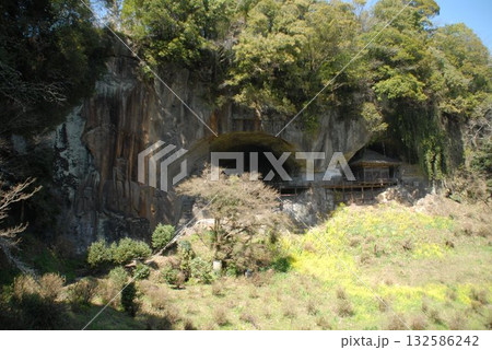 洞窟風の岩陰と新芽の息吹 132586242