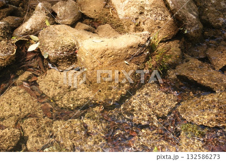 岩場に残る透き通った潮溜まりの風景 132586273