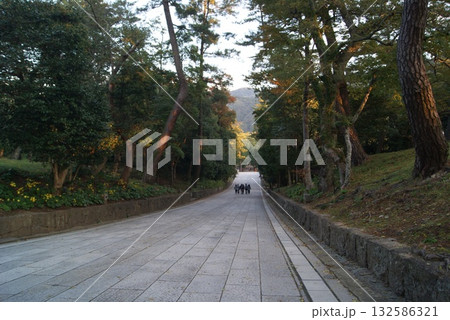 緑陰に包まれた出雲大社の参道石畳 132586321