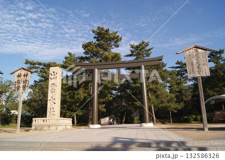 朝光に映える大鳥居と社号標の風景 132586326