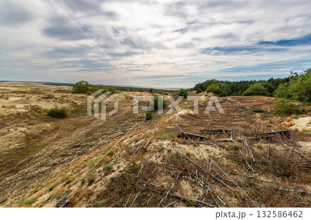 The image depicts a scenic view of a vast area of sand dunes The image depicts a scenic view of a vast area of sand dunes 132586462