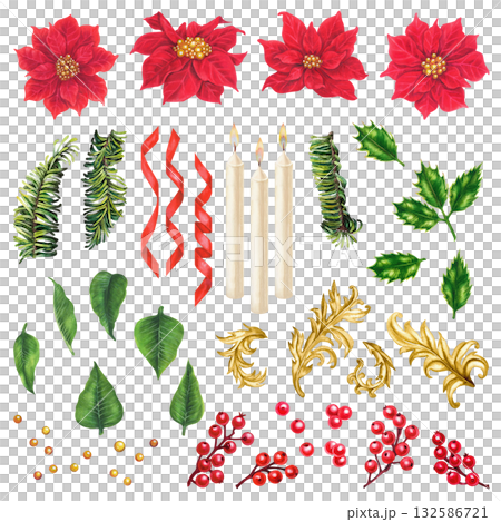 Red poinsettia. Luxurious Christmas flowers with vintage gold decor. Rich red, green watercolor add warmth, freshness. Flowers, berries, holly leaves, fir branches, and green foliage are perfect for Red poinsettia. Luxurious Christmas flowers with vintage gold decor. Rich red, green watercolor add warmth, freshness. Flowers, berries, holly leaves, fir branches, and green foliage are perfect for 132586721