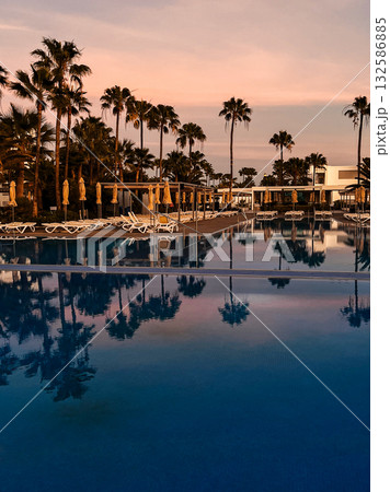 Palm trees and sun loungers Palm trees and sun loungers 132586885