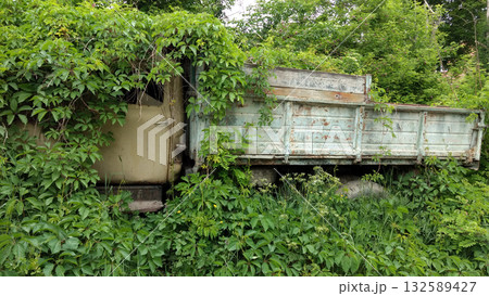A broken, abandoned, rusty old truck overgrown with trees. A broken, abandoned, rusty old truck overgrown with trees. 132589427