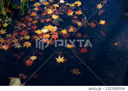 水に落ちた紅葉 水に落ちた紅葉 132589504