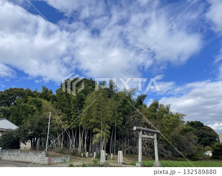 さいたま市の遺跡　古墳ではないかと伝えられている里塚古墳 132589880