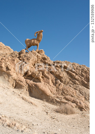 Mountain peak in Chebika oasis with sculpture of mountain goat. Tunisia 132589986