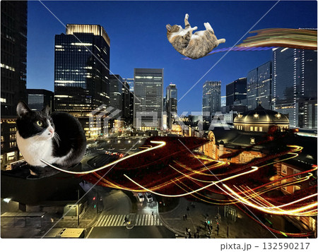 夜の都市を駆ける猫たち 夜の都市を駆ける猫たち 132590217