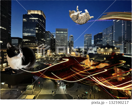 夜の都市を駆ける猫たち 夜の都市を駆ける猫たち 132590217