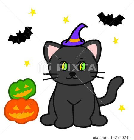 紫の帽子をかぶった黒猫とおばけかぼちゃ＆星空に飛ぶコウモリのハロウィンイラスト 132590243