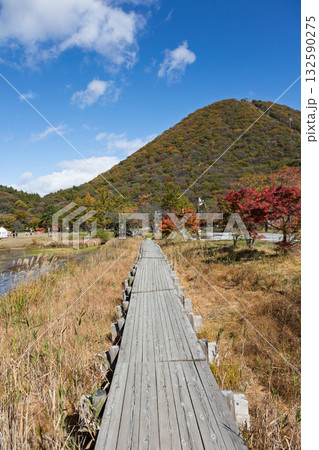 秋晴れの榛名湖畔　群馬県 132590275