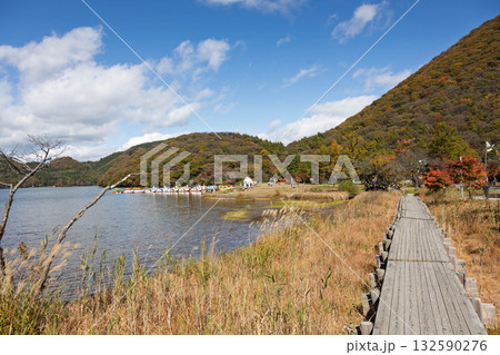 秋晴れの榛名湖畔　群馬県 132590276