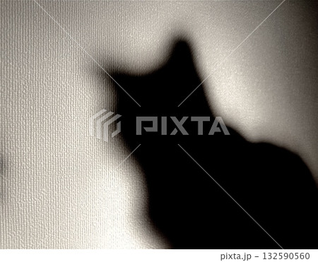 シャドウねこ 132590560