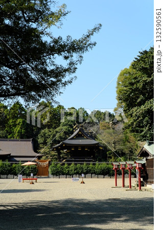 鷲宮神社 七五三祝い 鷲宮神社 七五三祝い 132590561