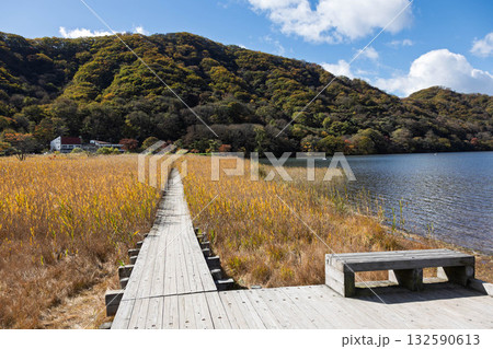 秋の榛名山 湖畔の木道 秋の榛名山 湖畔の木道 132590613