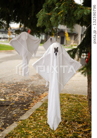 Halloween Ghost Decorations Hanging from Tree Outdoors 132590796