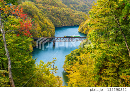 紅葉の萌える山々と只見川第三橋梁を渡る機関車 132590832