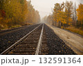 Railway tracks in autumn forest with yellow trees and fog Railway tracks in autumn forest with yellow trees and fog 132591364