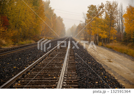 Railway tracks in autumn forest with yellow trees and fog 132591364