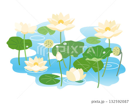 白い蓮と睡蓮が咲き誇る池をイメージしたイラスト 132592087